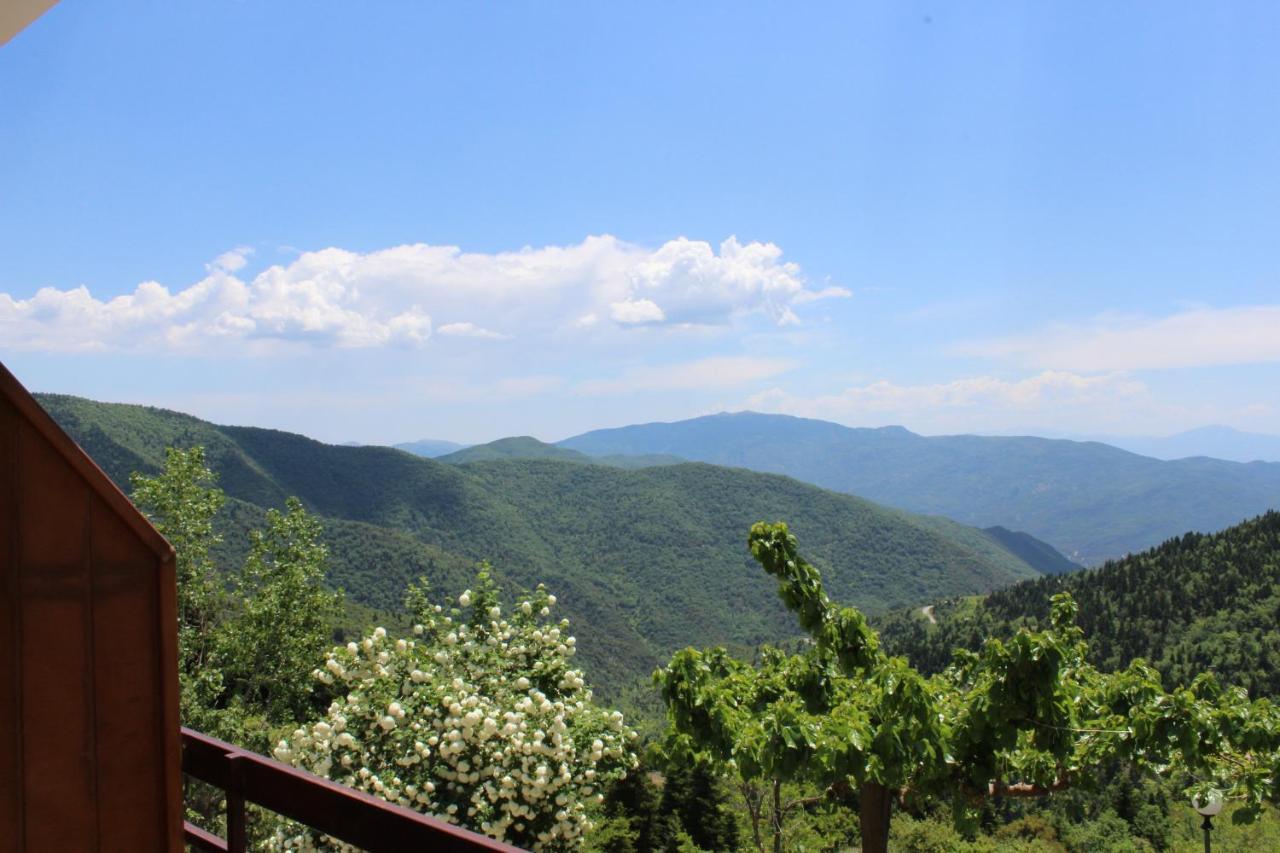 Hotel Elatou Ano Chora Zewnętrze zdjęcie