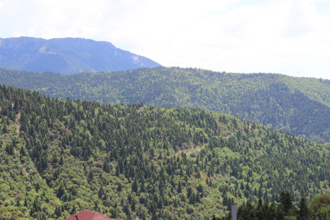 Hotel Elatou Ano Chora Zewnętrze zdjęcie