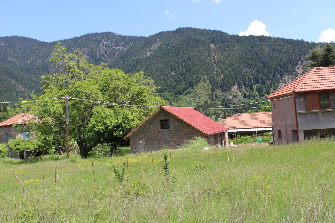 Hotel Elatou Ano Chora Zewnętrze zdjęcie
