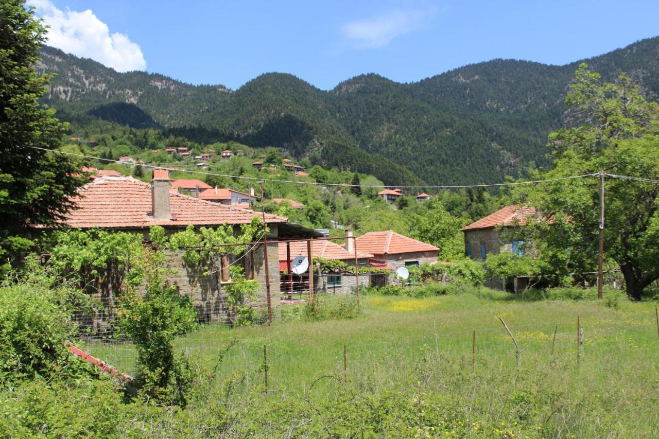 Hotel Elatou Ano Chora Zewnętrze zdjęcie