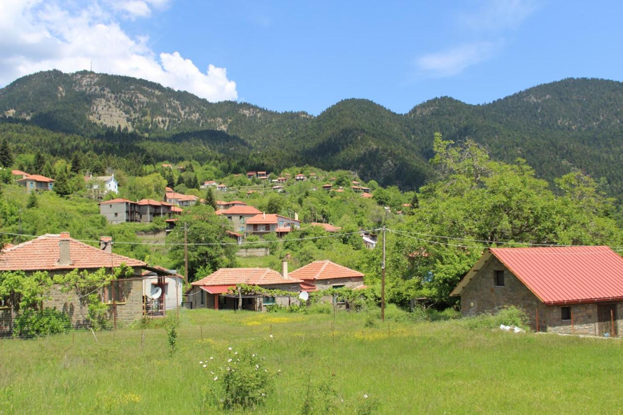 Hotel Elatou Ano Chora Zewnętrze zdjęcie