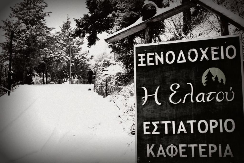 Hotel Elatou Ano Chora Zewnętrze zdjęcie